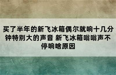 买了半年的新飞冰箱偶尔就响十几分钟特别大的声音 新飞冰箱嗡嗡声不停响啥原因